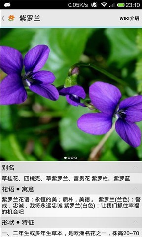 那些花儿截图4