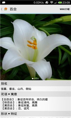 那些花儿截图2