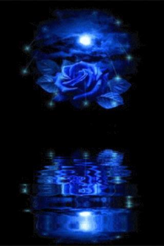 Blue Rose Reflected In Water L截图2