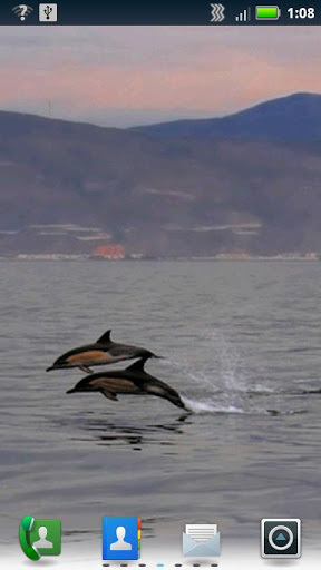 Diving Dolphins Live Wallpaper截图4