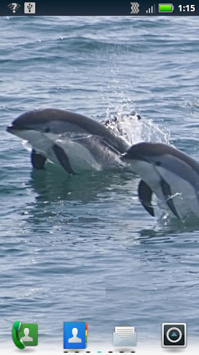 Diving Dolphins Live Wallpaper截图3