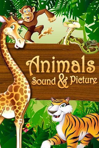 Animals Sound and Picture截图1