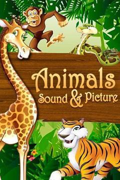 Animals Sound and Picture截图
