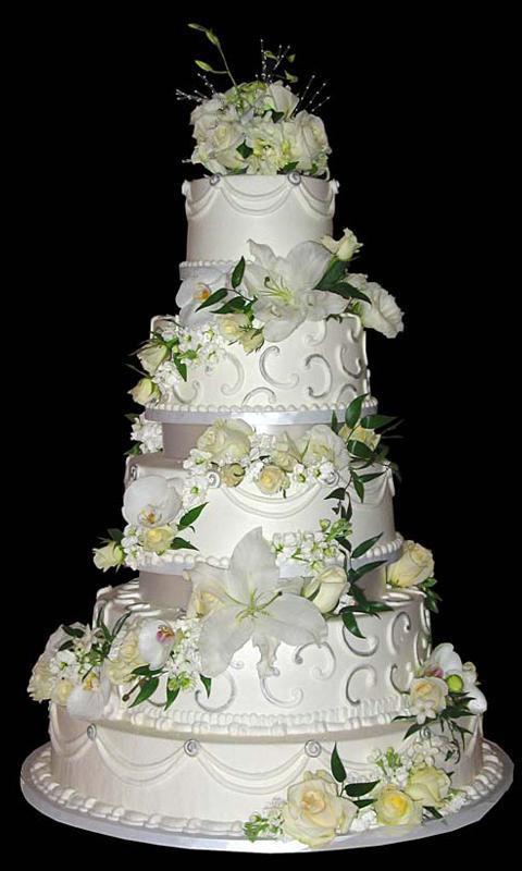 Wedding Cakes Ideas截图5