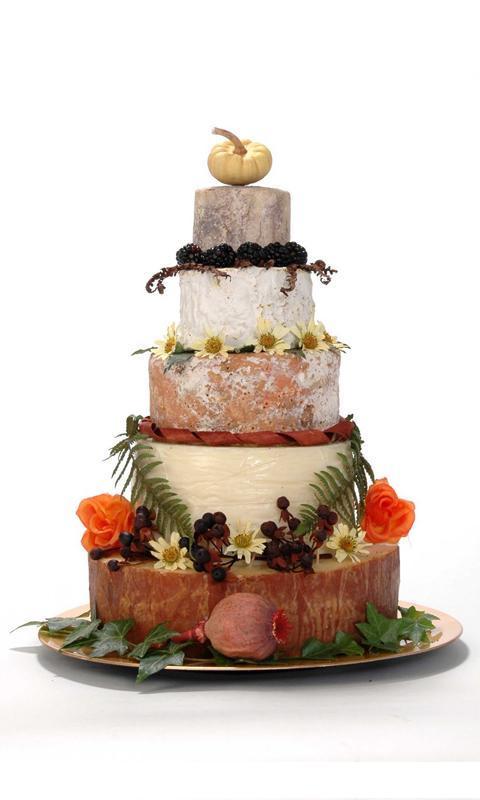 Wedding Cakes Ideas截图1