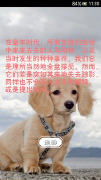 萌宠动态壁纸截图