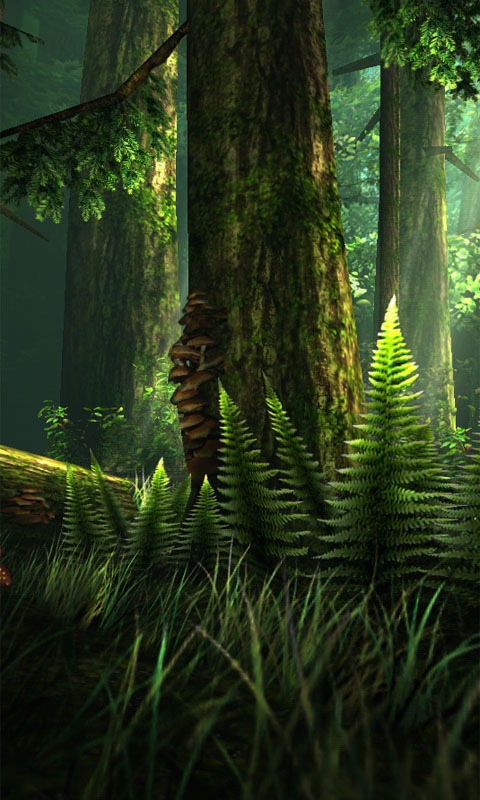 动态壁纸3D-迷幻森林截图2
