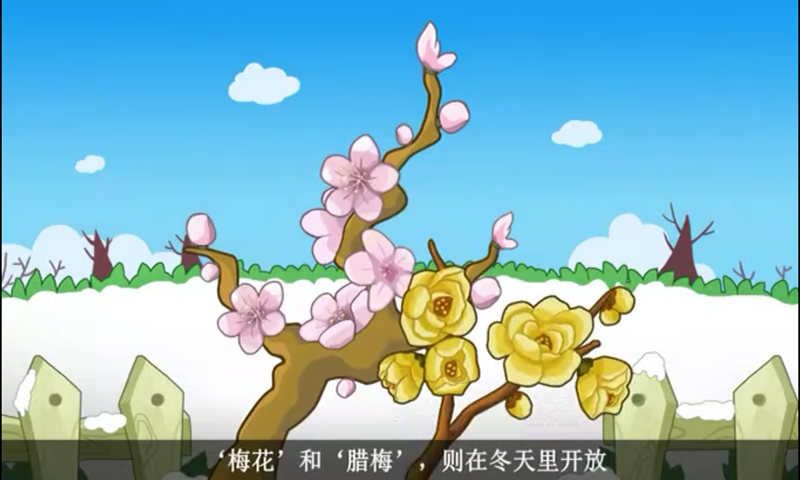 小朋友学认识花朵截图5