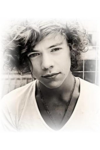 Harry Styles One Directi...截图8