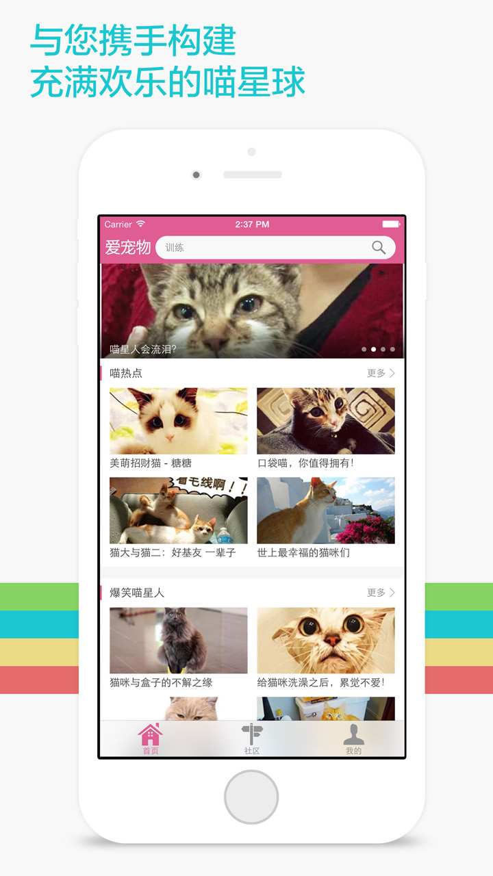 爱宠物猫猫截图1