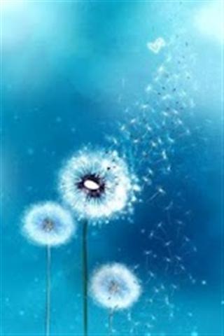 银河蒲公英 Galaxy S3 Dandelion截图3