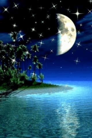 Shimmering Moonlight Live Wallpaper截图6