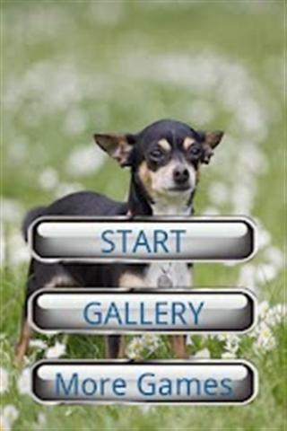 小狗拼图 Dog Puzzle: Chihuahua截图4