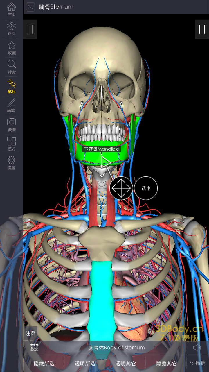 3DBody系统解剖截图4