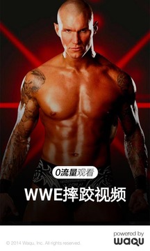 WWE摔跤视频截图