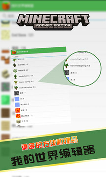 我的世界编辑器截图