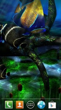 我的3D小鱼动态壁纸下载