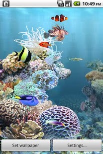 水族馆动态壁纸截图9