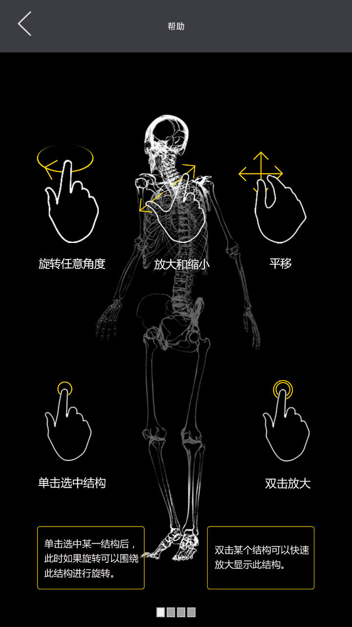 3DBody系统解剖截图1