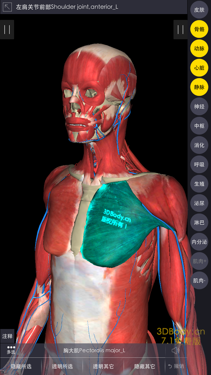 3DBody系统解剖截图3