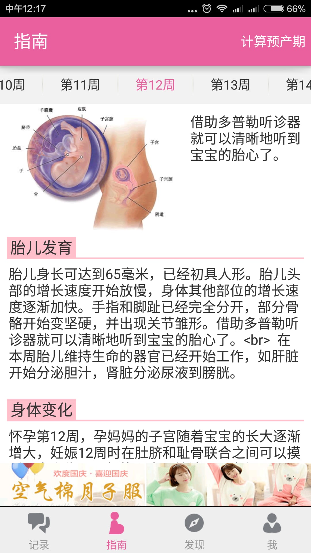 孕期全程日历截图1