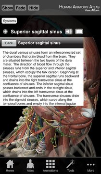 Human Anatomy Atlas SP截图