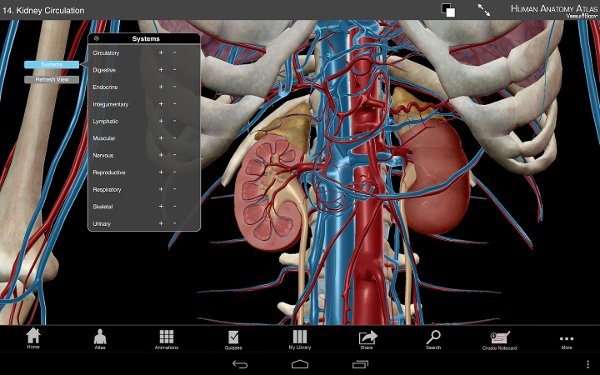 Human Anatomy Atlas SP截图3