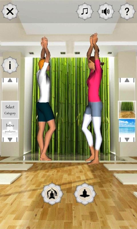 瑜伽健身 (Yoga Fitness 3D)截图3