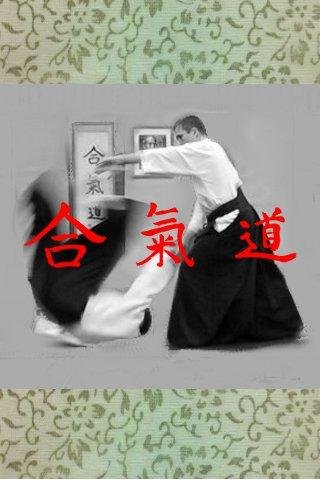 Aikido Fifth Kyu (Free)截图1