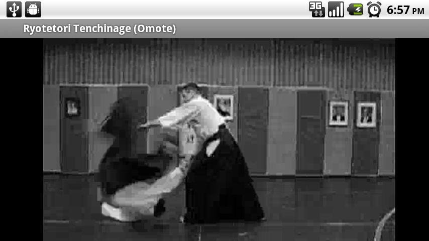 Aikido Fifth Kyu (Free)截图2