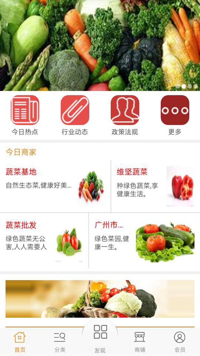 广东蔬菜截图1