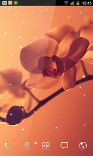 Mini Orchid Wallpaper Style截图6