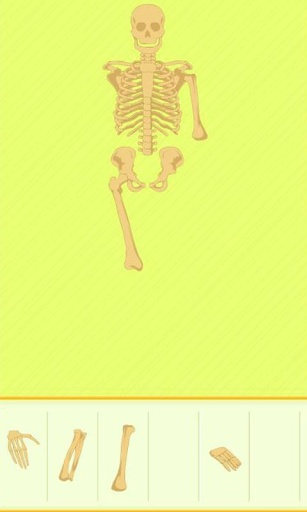 Human Bones截图1