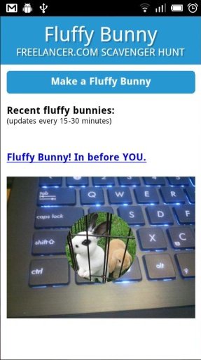 Fluffy Bunny截图1