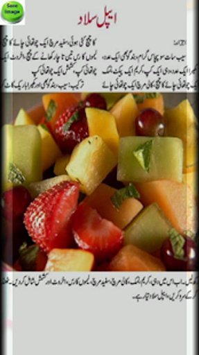 Urdu Salads recipes截图4