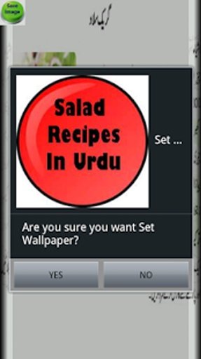 Urdu Salads recipes截图1