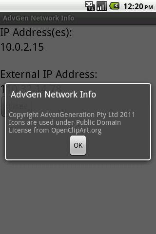 Adv Network Info - IP地址...截图2