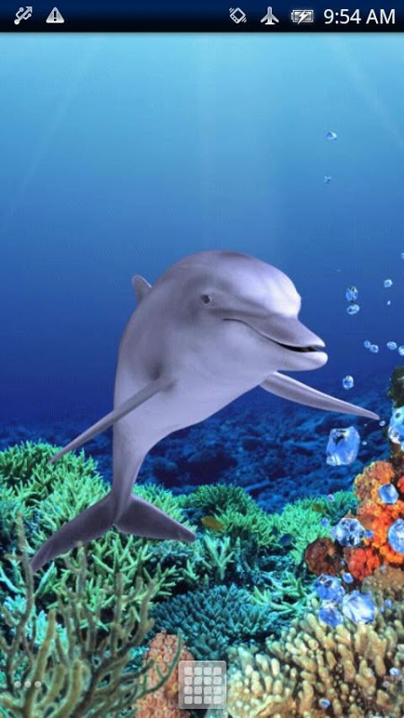 Dolphin Coral Free截图6