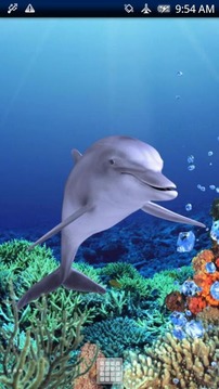 Dolphin Coral Free截图
