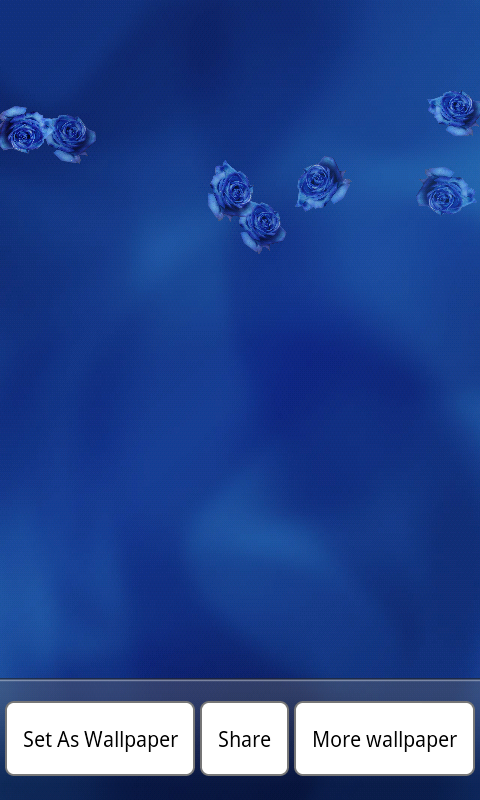 Blue rose live wallpaper截图1