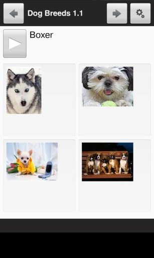 Learn the Top 30 Dog Breeds截图3