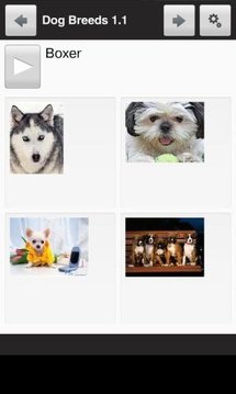 Learn the Top 30 Dog Breeds截图