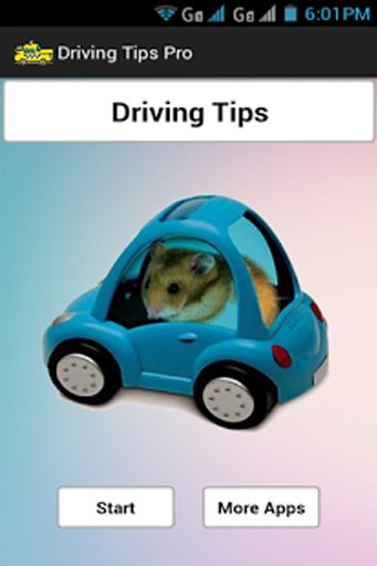 Driving Tips截图4