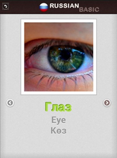 基本俄语语言 - 词截图6