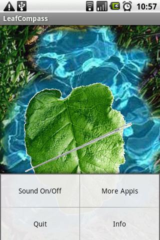 Leaf Compass截图2