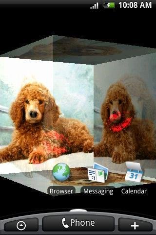 3D Red Poodle I截图4