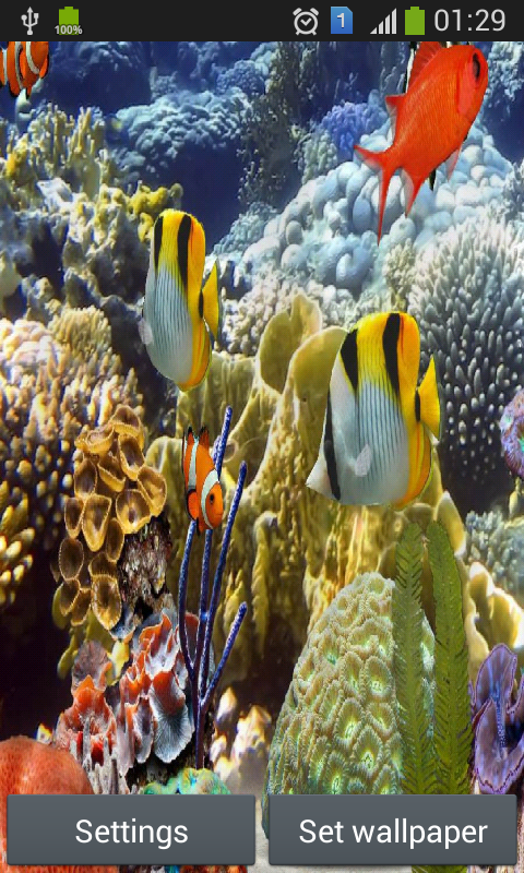 Marine Fish Aquarium HD LWP截图1