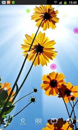 Blue Sky n Flowers LWP截图4