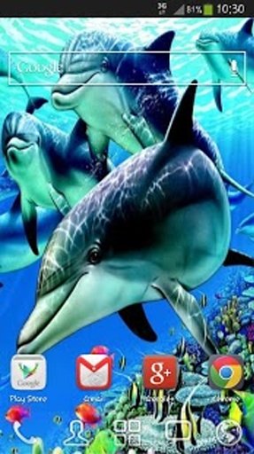 Beautiful Dolphin Magic Touch截图6