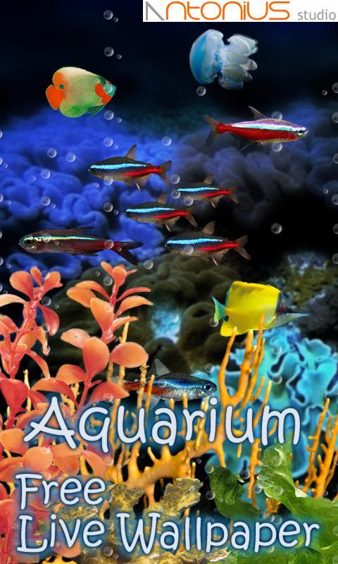 Aquarium Neon Fish Free LWP截图1